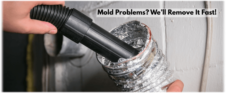 Air Duct Mold Removal in Pearland