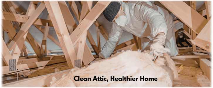 Attic Cleaning Pearland