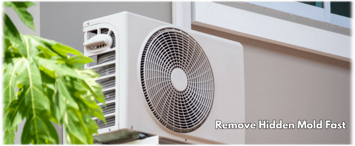 HVAC Mold Removal Pearland